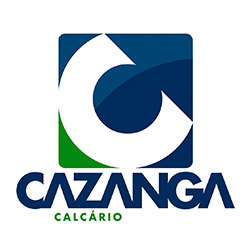 Breno Castro, Gerente de Projetos